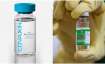 vaccine pricing policy 