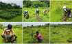 World Environment Day 2021: Awareness and action are needed to restore the ecosystem