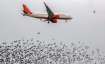 Air travel becomes costlier by up to 12.82% as Centre