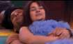 'Stop Using Sidharth Shukla' trends after Shehnaaz Gill's tribute song; Aly Goni & others come out i