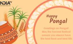 happy Pongal 2021: Wishes, Quotes, Facebook, WhatsApp messages, Greetings, SMS, HD images and GIFs