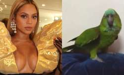 Viral Video: Parrot singing Beyonce's 'If I Were A Boy' baffles Internet