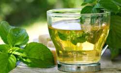Green tea, help, tackle, COVID-19, Indian origin researcher, coronavirus pandemic, covid updates, co