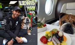 Lewis Hamilton trolled for serving planet-saving vegan diet to his dig on a luxury private jet
